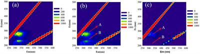 Mediation of Extracellular Polymeric Substances in Microbial Reduction of Hematite by Shewanella oneidensis MR-1